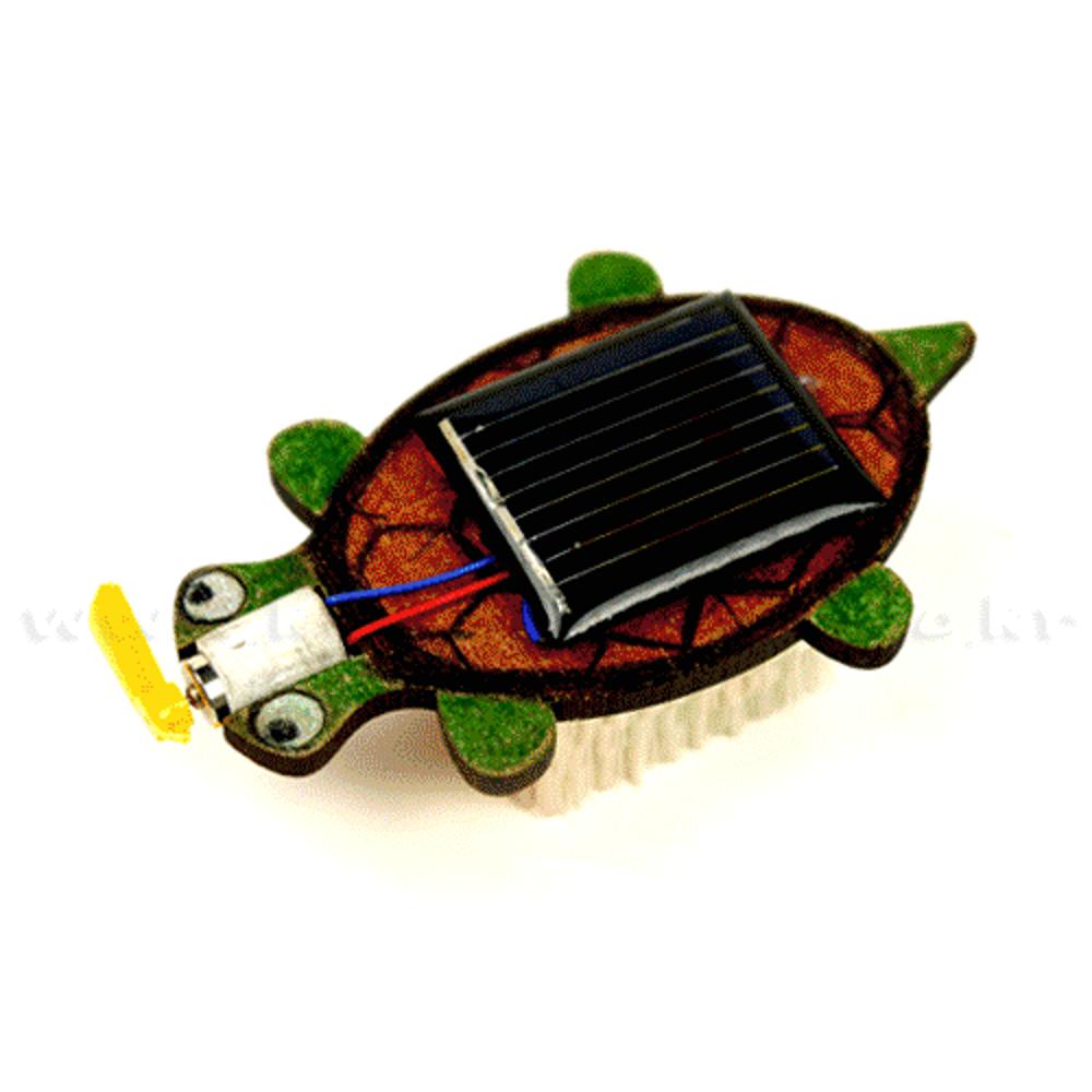 과학학습교재 태양광 거북이 진동로봇 (2인 세트) (ver.1)